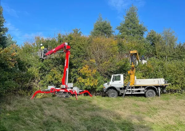 Hedge cutting