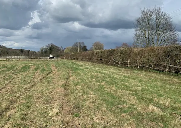 Hedge flailing contractors in Kent